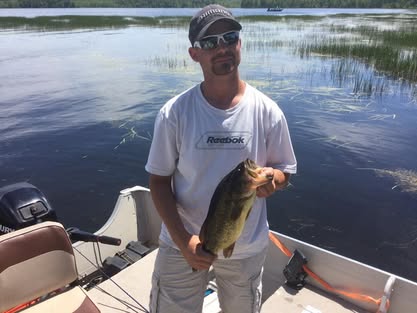 Lily Pad Pocket Bass