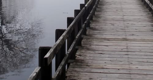 Sunset Dock Boardwalk & Slips