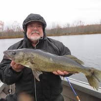 Moira Lake Giant Walleye